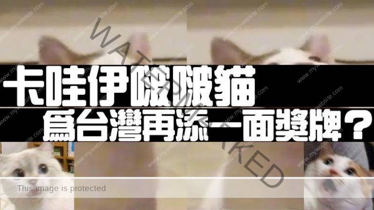 【Popcat是什麽】快报！卡哇伊啵啵猫为台湾再添一面金牌！！这个台湾迷因猫究竟是…？